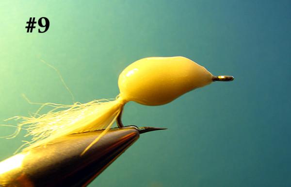 FOSAF_2578.jpg