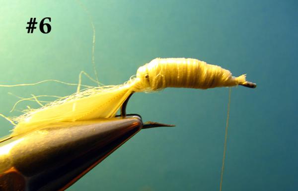 FOSAF_2581.jpg