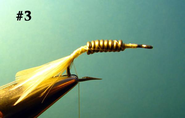 FOSAF_2584.jpg
