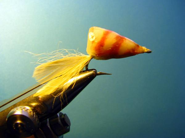 FOSAF_2587.jpg