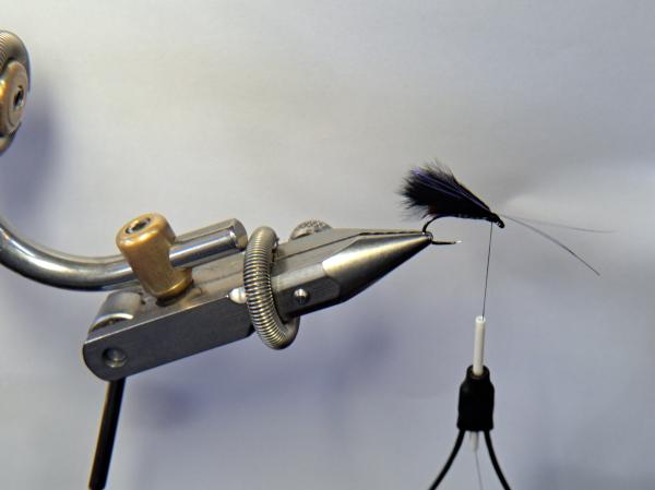 FOSAF_5260.jpg
