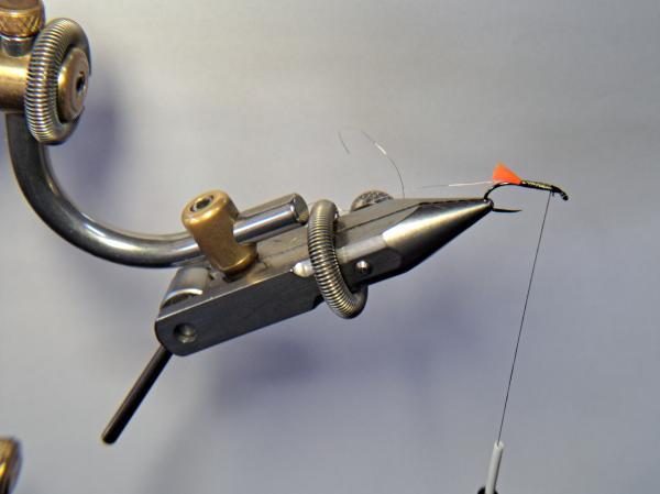 FOSAF_5262.jpg
