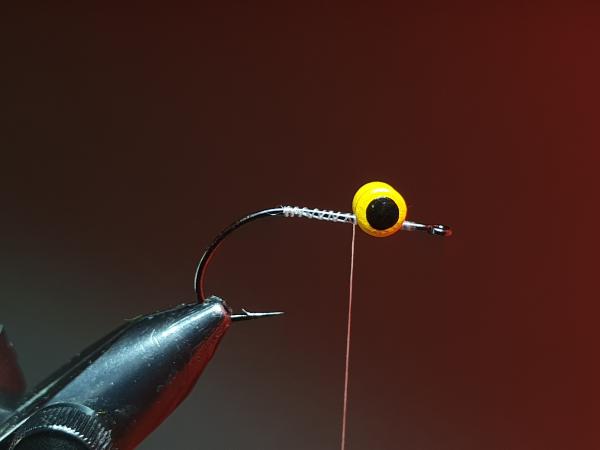 FOSAF_3729.jpg FOSAF_3729.jpg