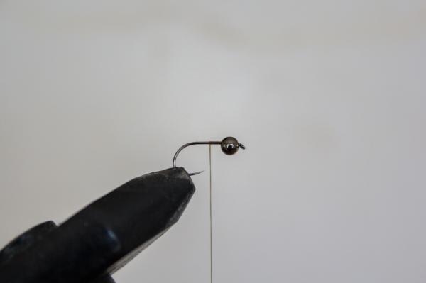 FOSAF_4117.jpg FOSAF_4117.jpg