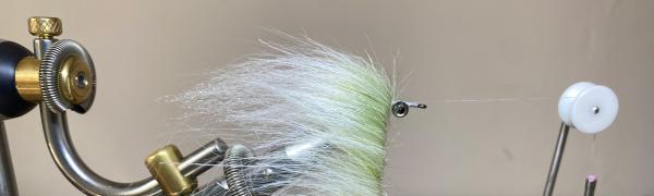 FOSAF_4619.jpg FOSAF_4619.jpg