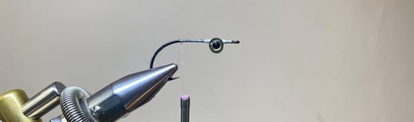 FOSAF_4625.jpg FOSAF_4625.jpg