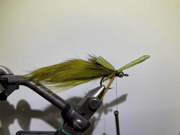 FOSAF_5095.jpg