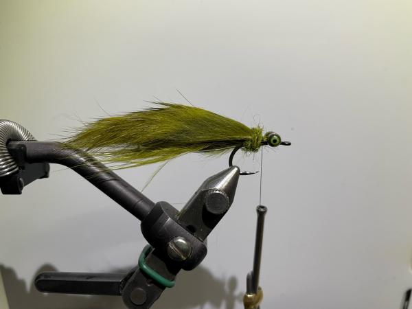 FOSAF_5098.jpg