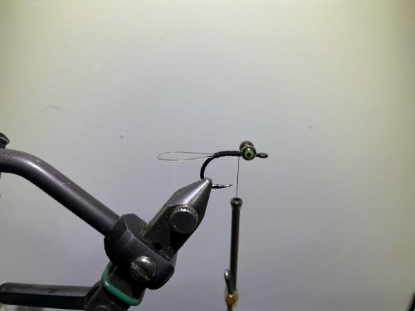 FOSAF_5101.jpg