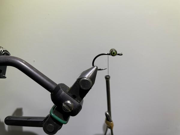 FOSAF_5102.jpg