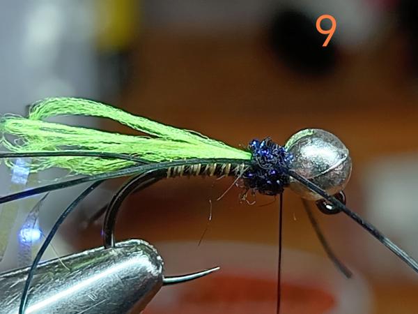 FOSAF_6001.jpg FOSAF_6001.jpg