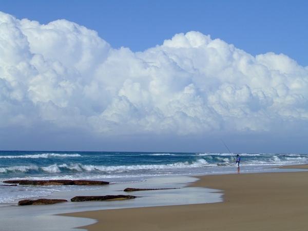 FOSAF_7598.jpg